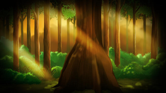 Ketapang Tree Evening Imagination