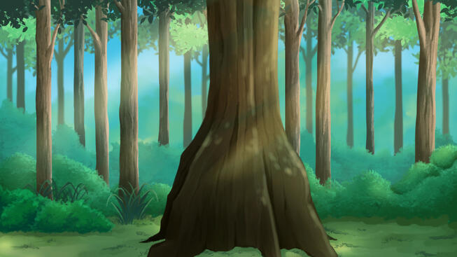 Ketapang Tree Morning