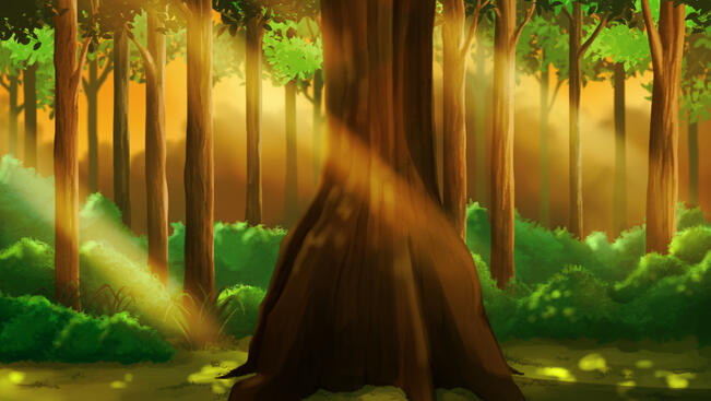 Ketapang Tree Evening