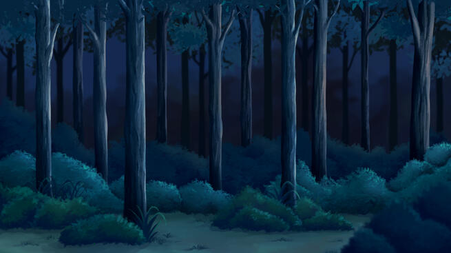 Forest Night
